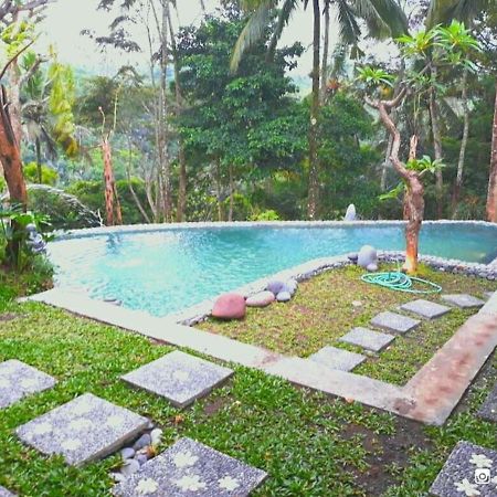 Amara Giri I Villa Ubud  Bagian luar foto