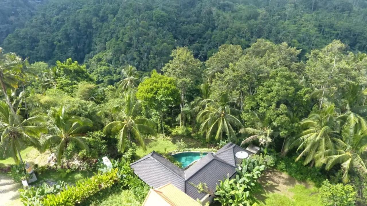 Amara Giri I Villa Ubud  Bagian luar foto