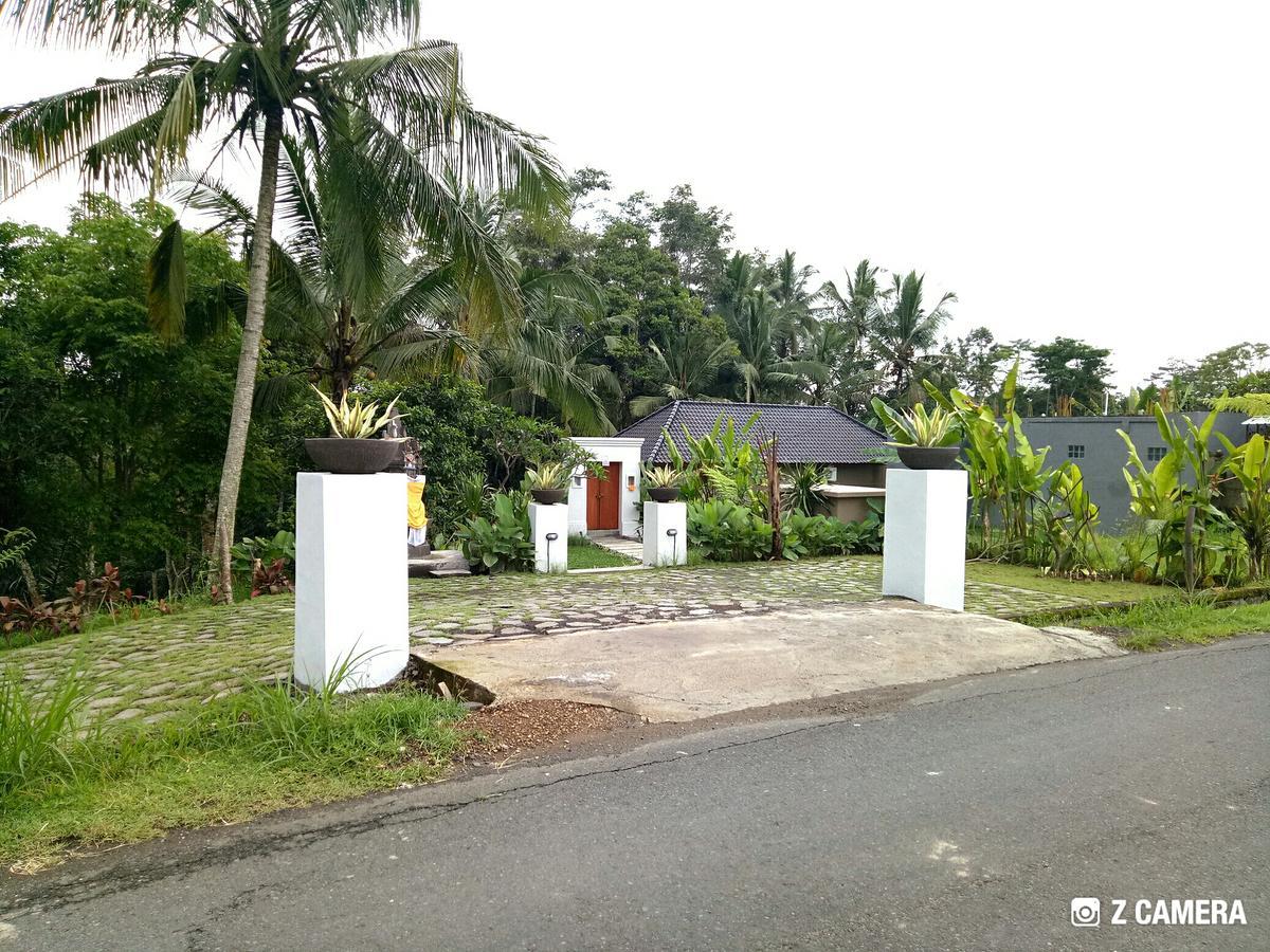 Amara Giri I Villa Ubud  Bagian luar foto
