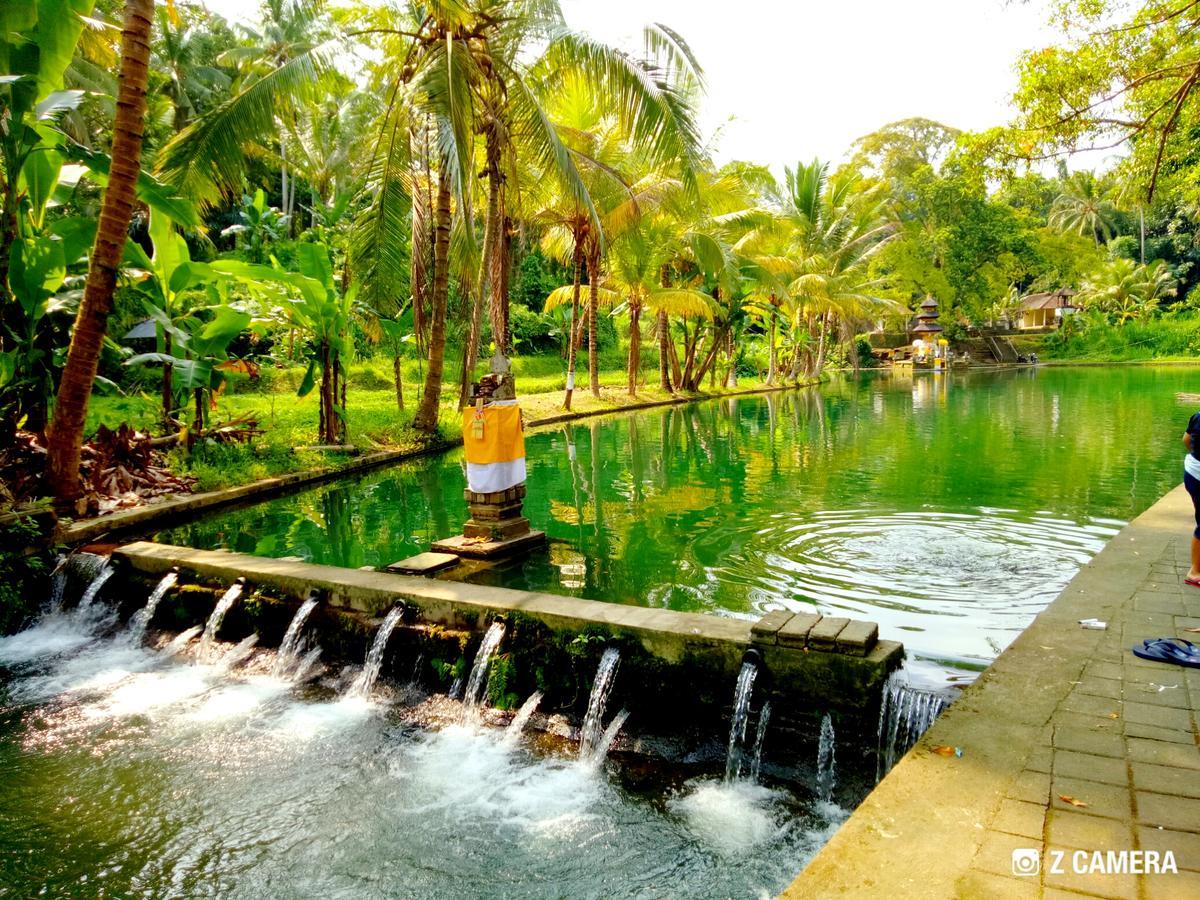 Amara Giri I Villa Ubud  Bagian luar foto