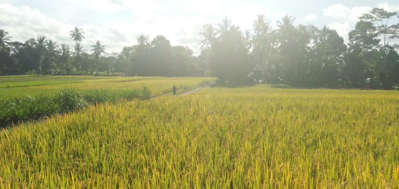 Amara Giri I Villa Ubud  Bagian luar foto
